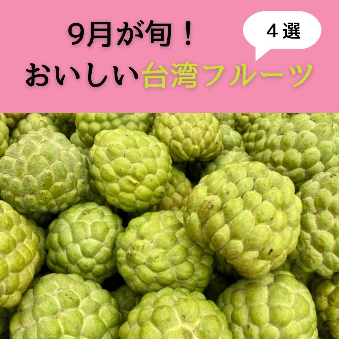 希少　台湾果樹　ピンポン なんじゃこりゃなフルーツみ～つけた～ピンポンの木の実 : 台湾